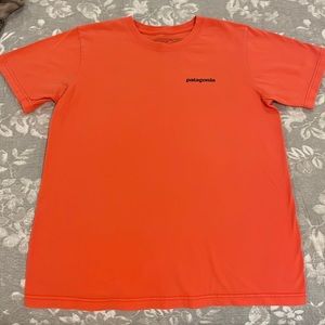 Patagonia tshirt